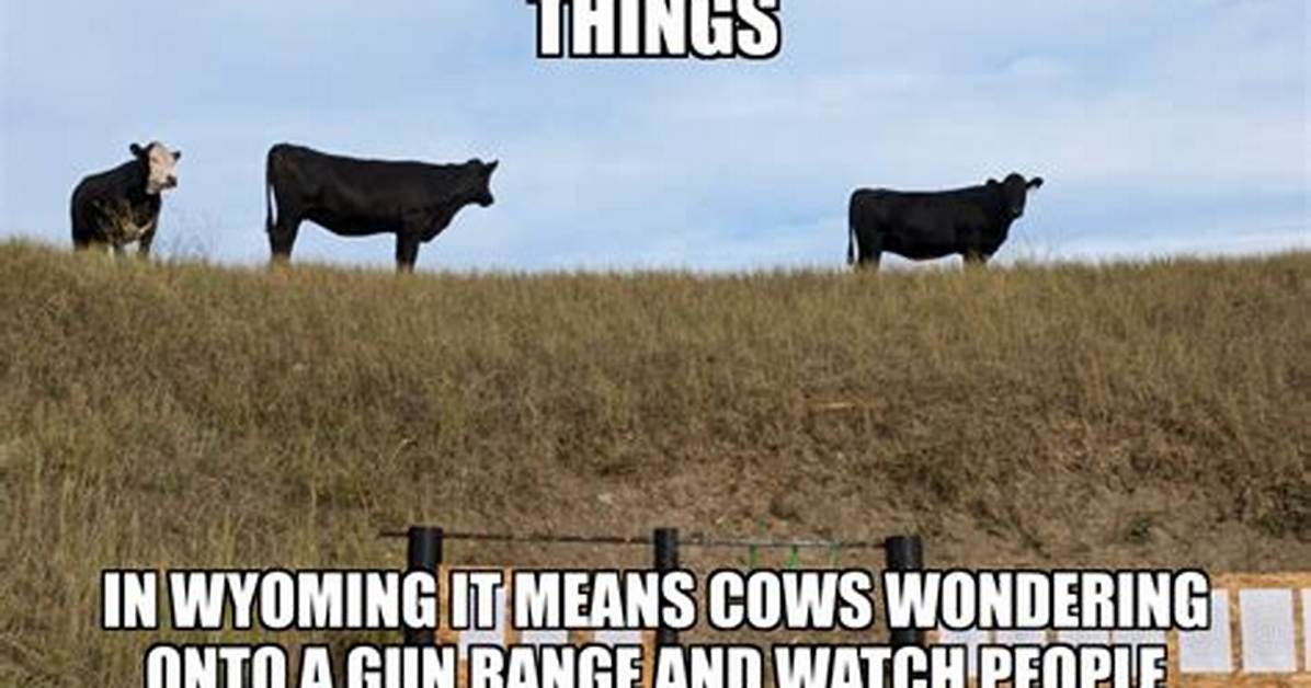 Who Created Open Range