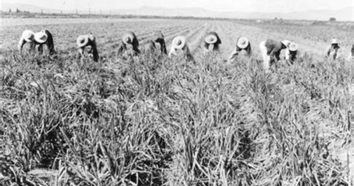 Who Created the Bracero Program?