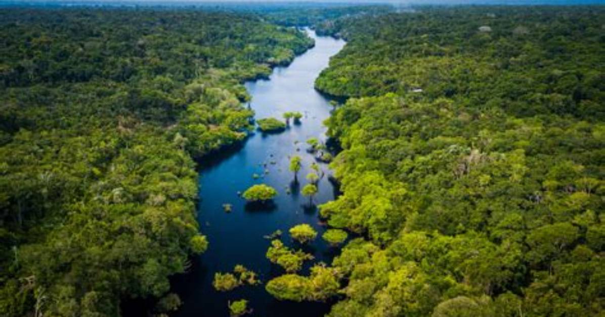 Who Deforests the Amazon Rainforest?
