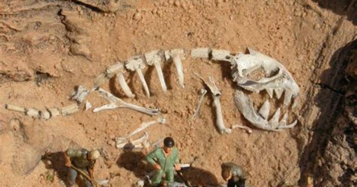Who Digs up Dinosaur Bones