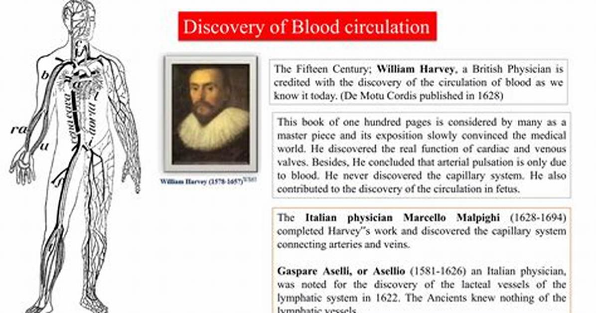 Who Discovered Arteries and Veins
