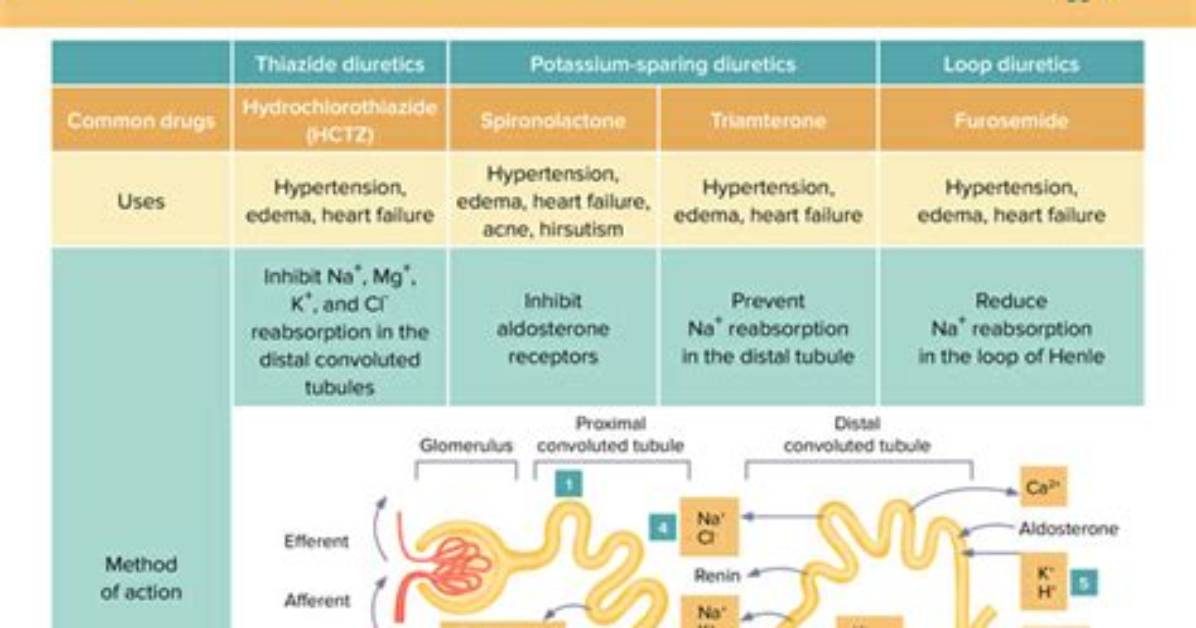Who Do Diuretics Cause Hyperlipidemia?