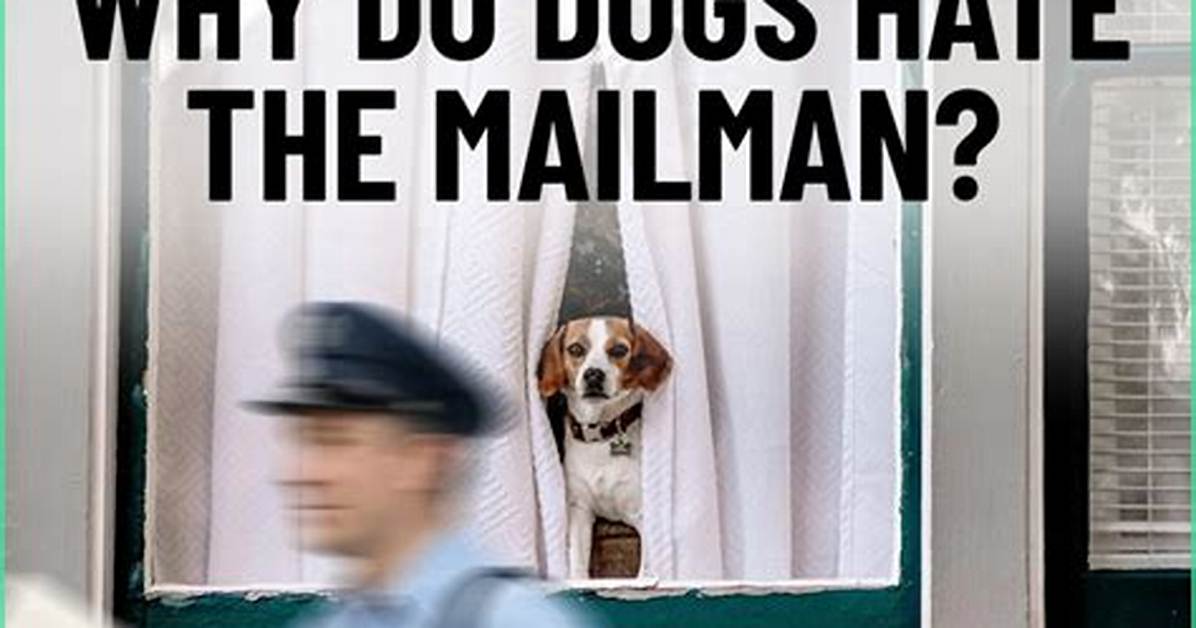 Who Do Dogs Hate Postmen?