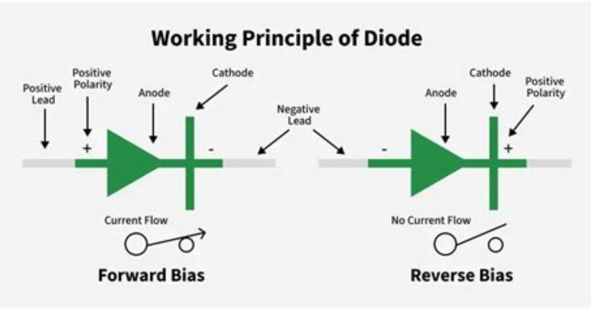 Who Does a Diode Work?