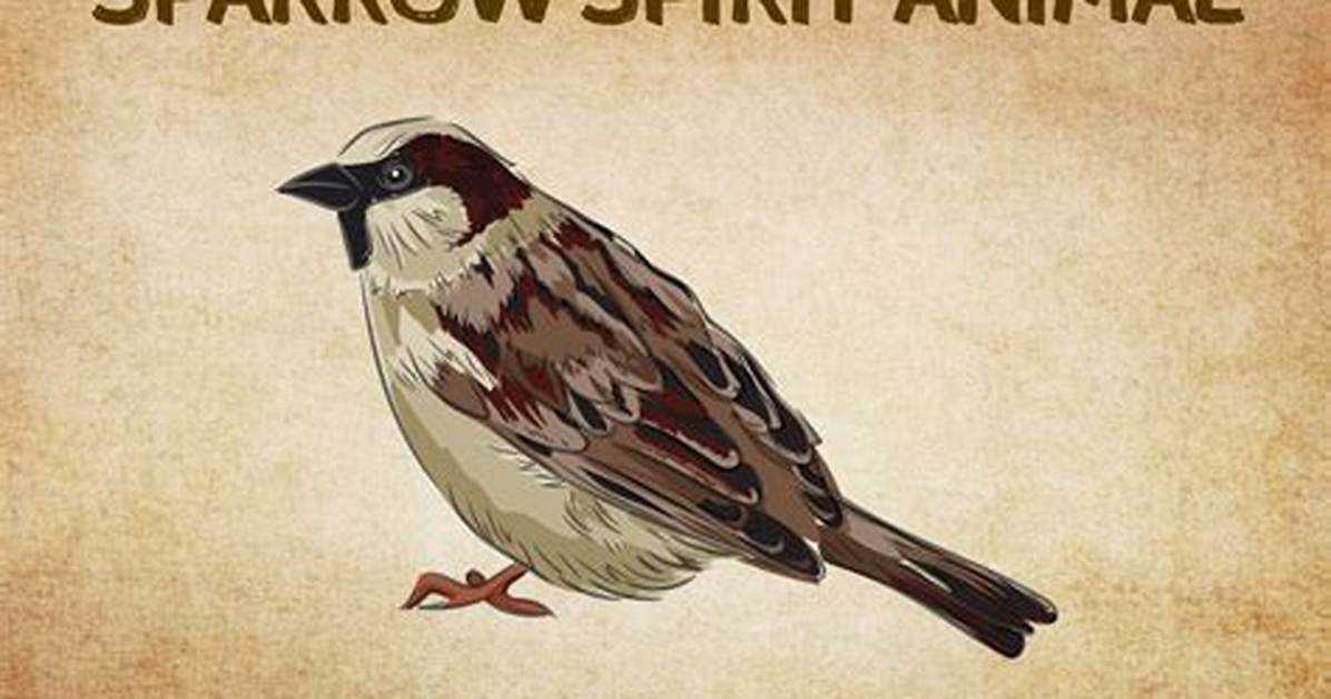 Who Does the Sparrow Symbolize?