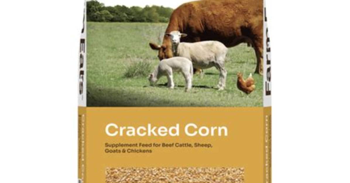 Who Eats Cracked Corn