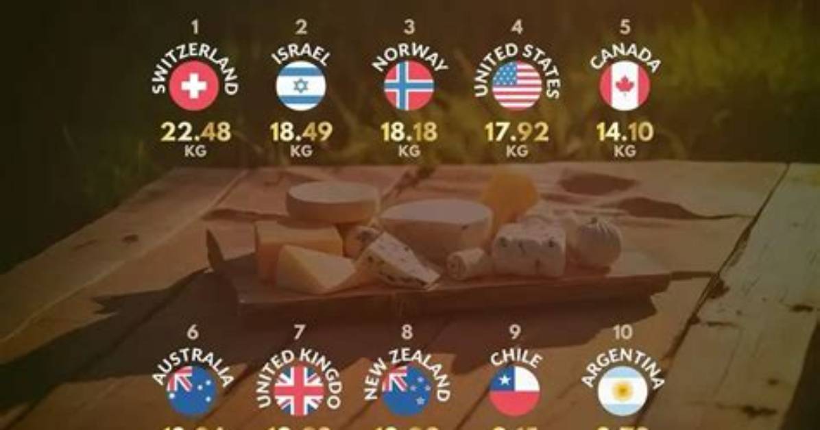 Who Eats the Most Cheese?