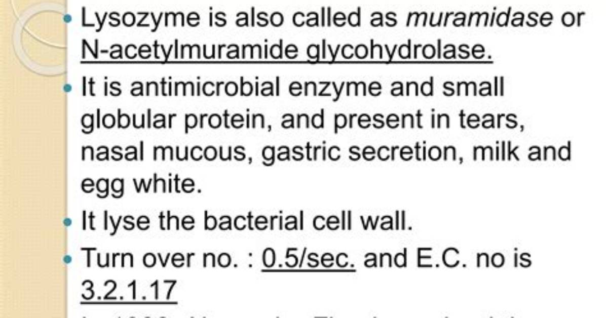 Who Found Lysozyme