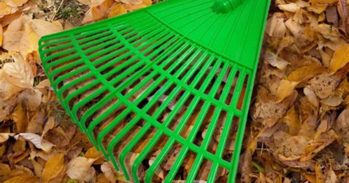 Who Invented the Leaf Rake