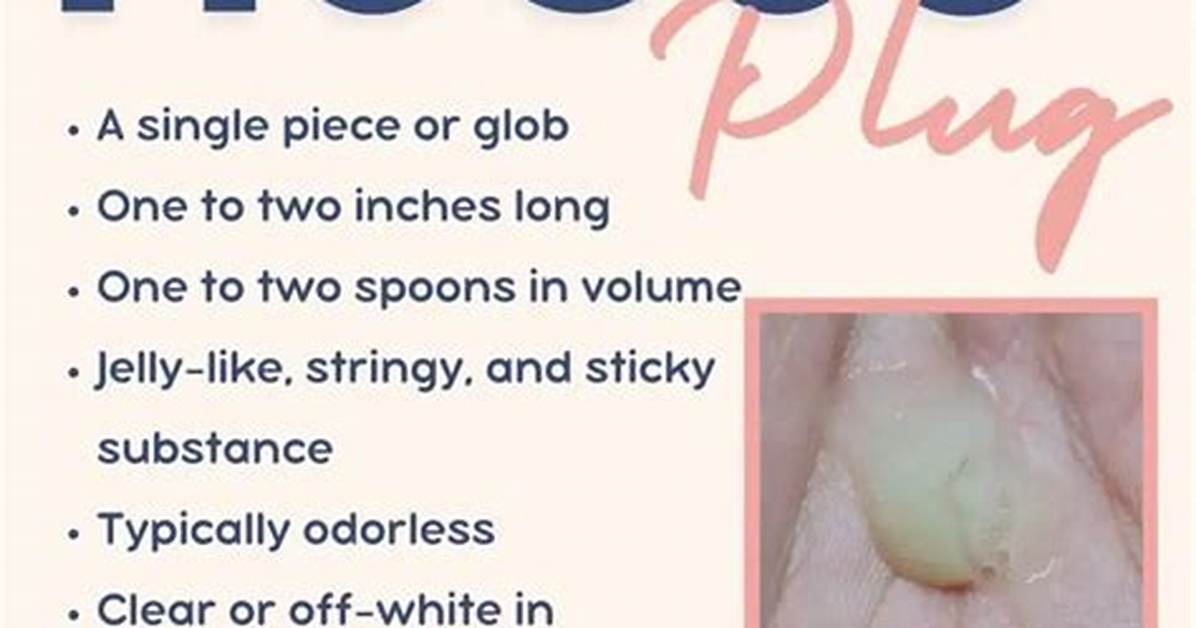 Who Is a Mucus Plug?