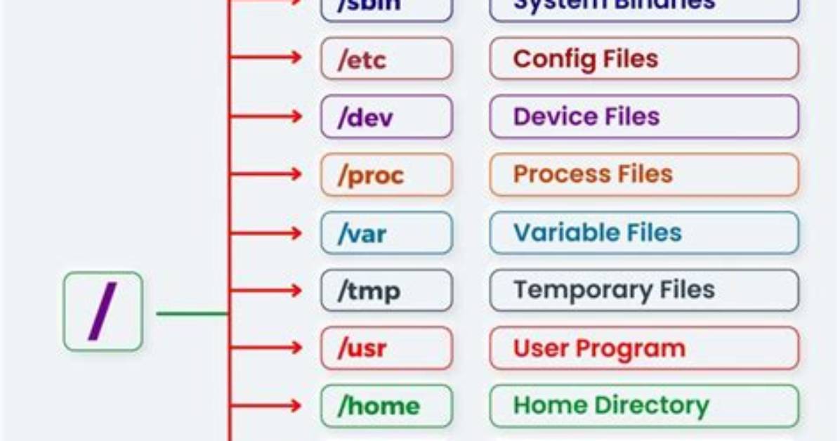 Who Is Using File Linux?