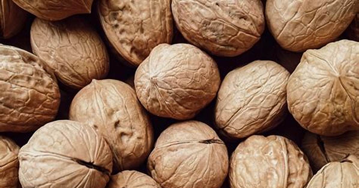 Who Is Walnut Shell?