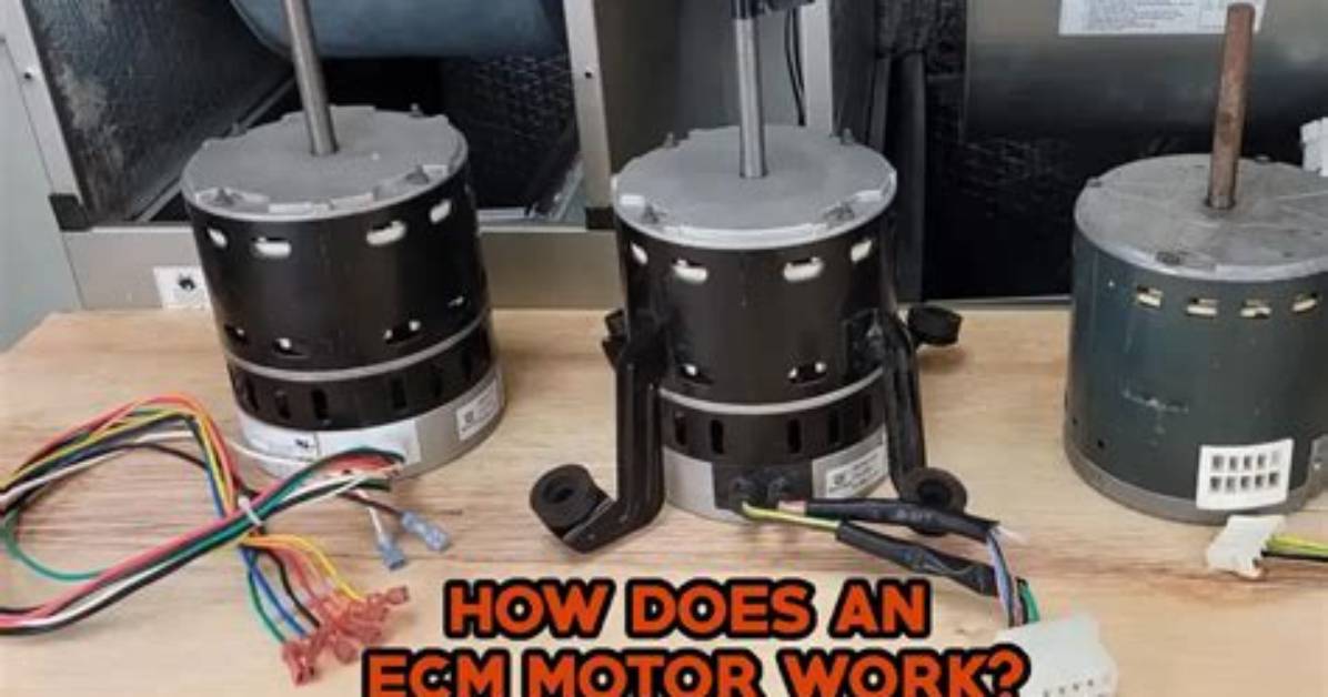 Who Makes Ecm