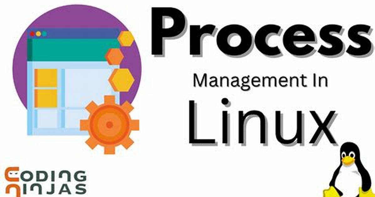 Who Owns a Process Linux?
