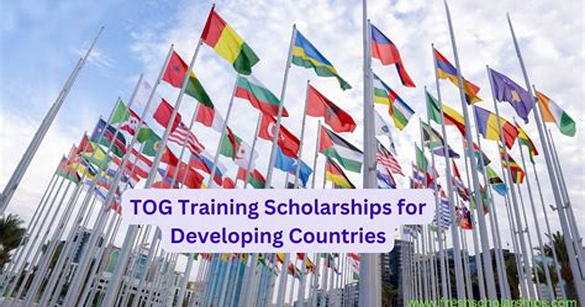 Who Scholarships for Developing Countries?