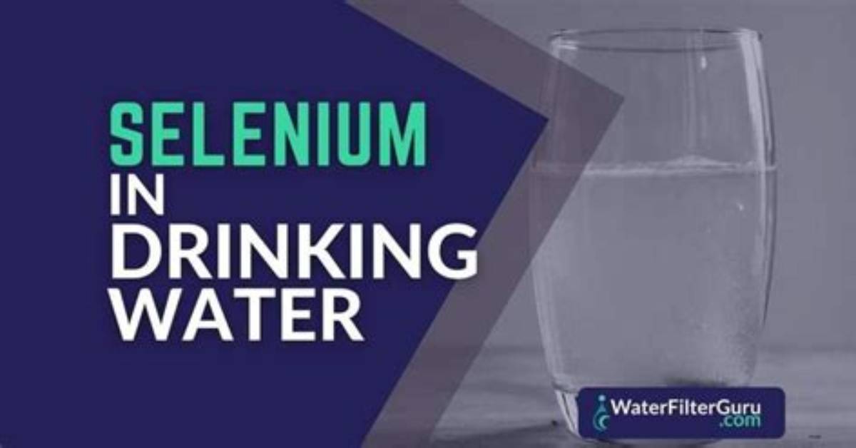 Who Selenium in Drinking Water?