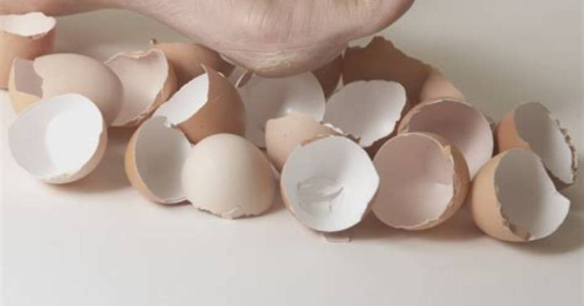 Who Walking on Eggshells?