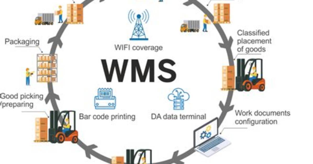 Who Warehouse Management System?