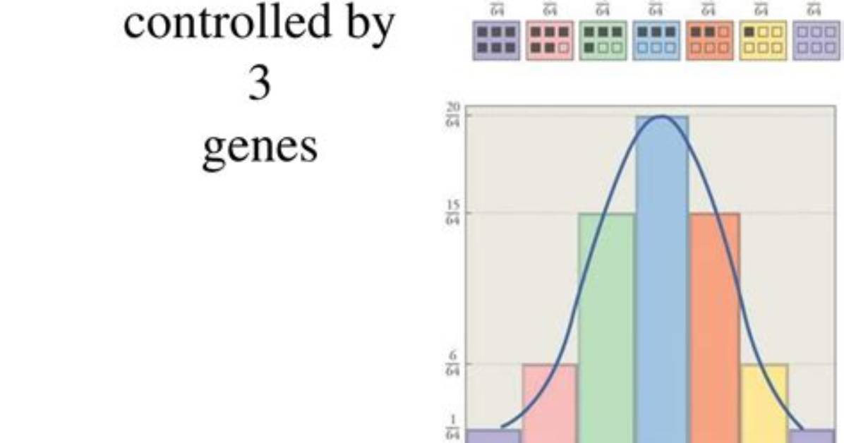 Whose Genes Determine Height?
