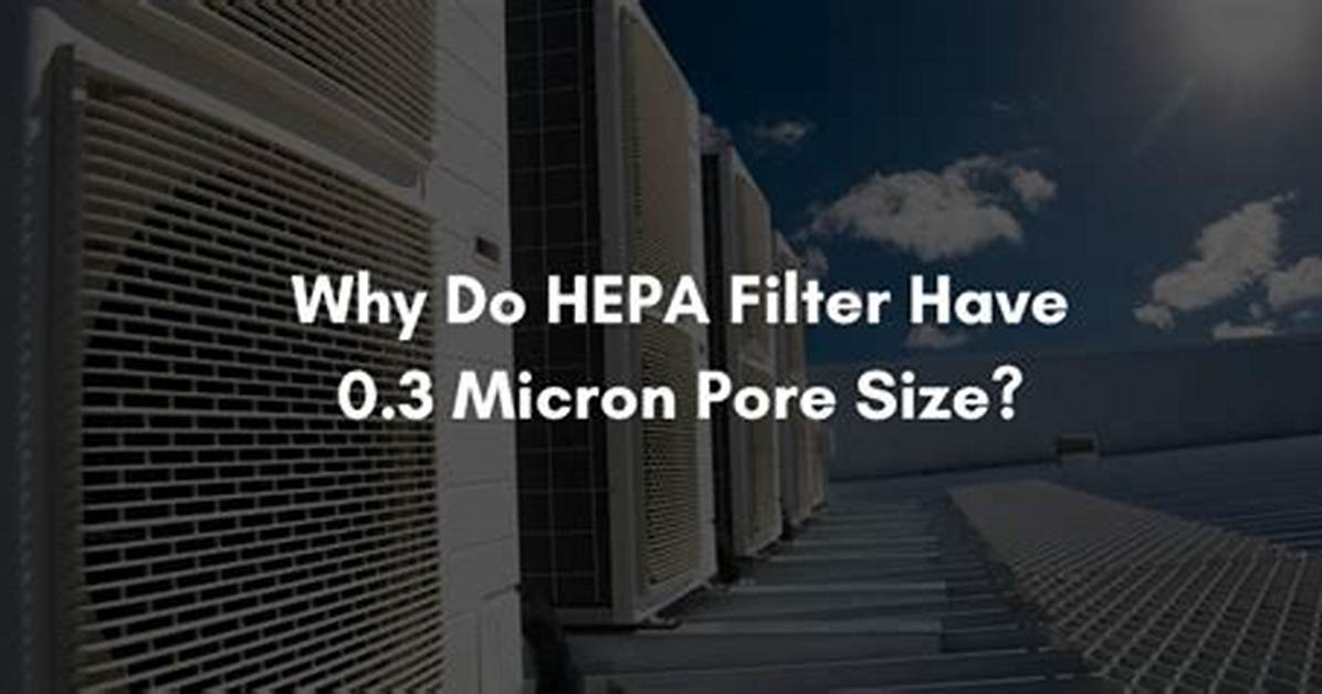 Why 0.3 Micron Hepa Filter?