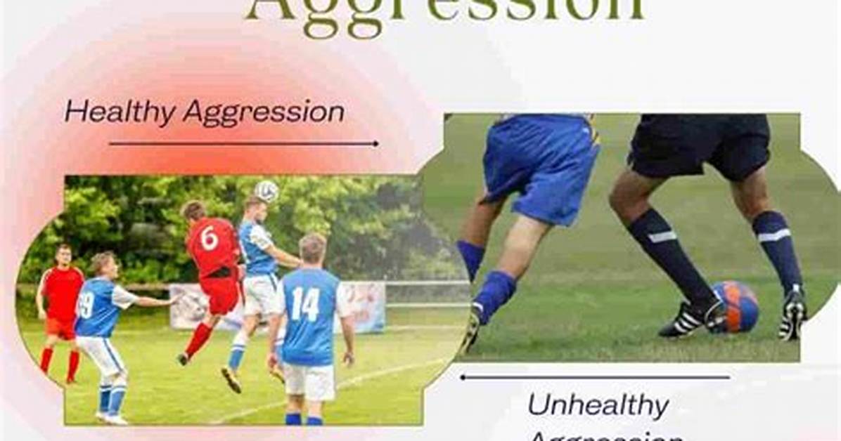 Why Aggression Is Bad?