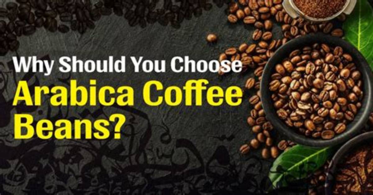 Why Arabica Coffee Beans?