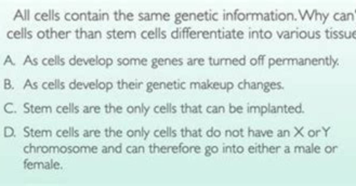 Why Are All Cells About the Same Size