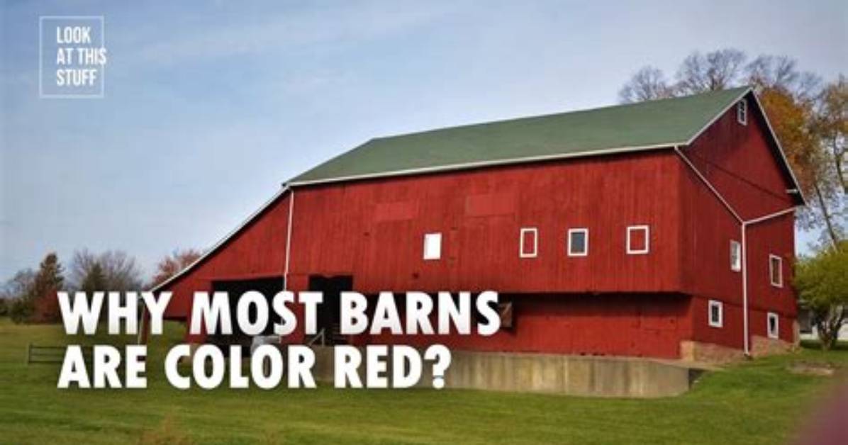 Why Are Barns Red