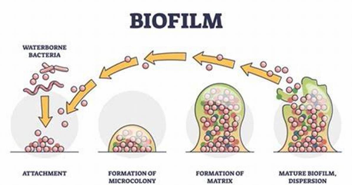 Why Are Biofilms a Problem