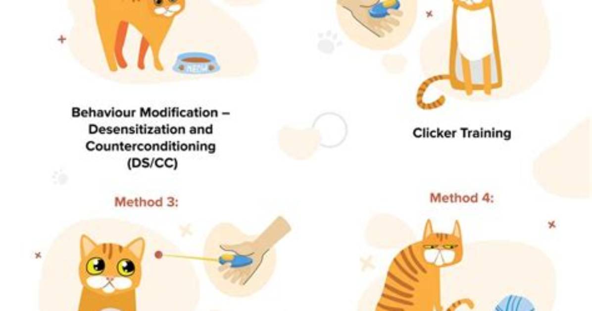 Why Are Cats Difficult to Train?