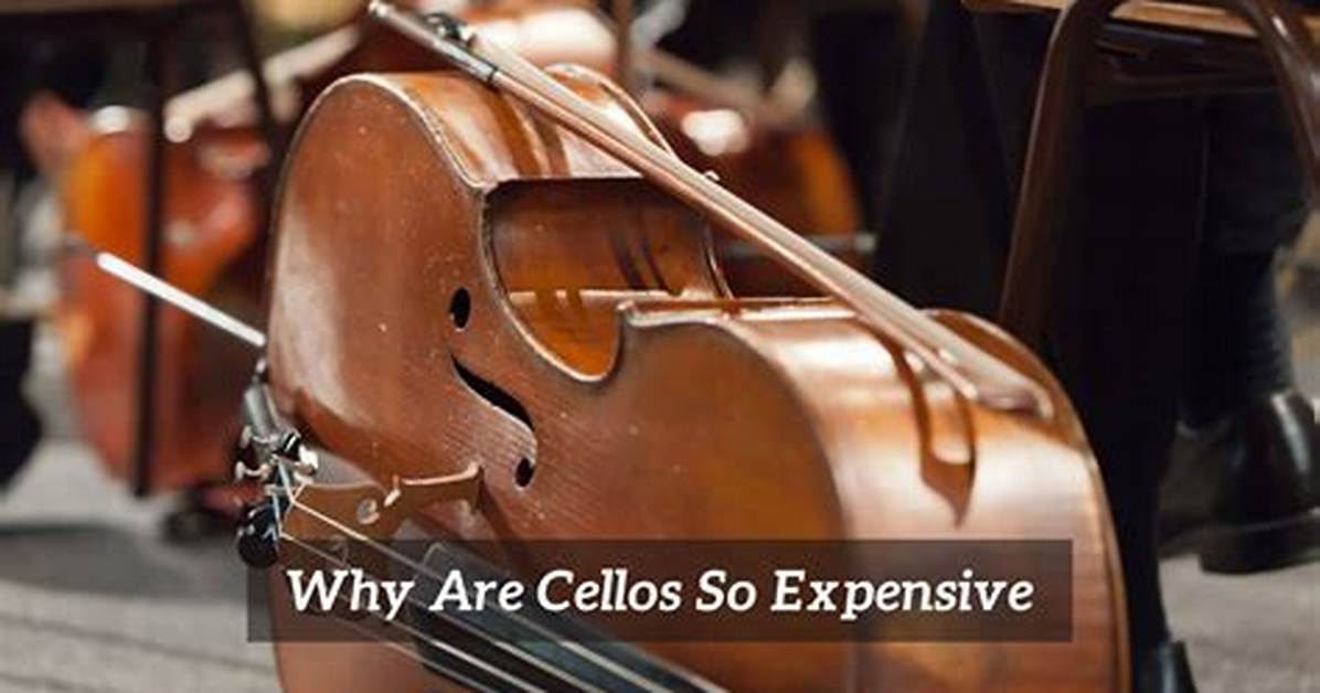 Why Are Cellos So Big?