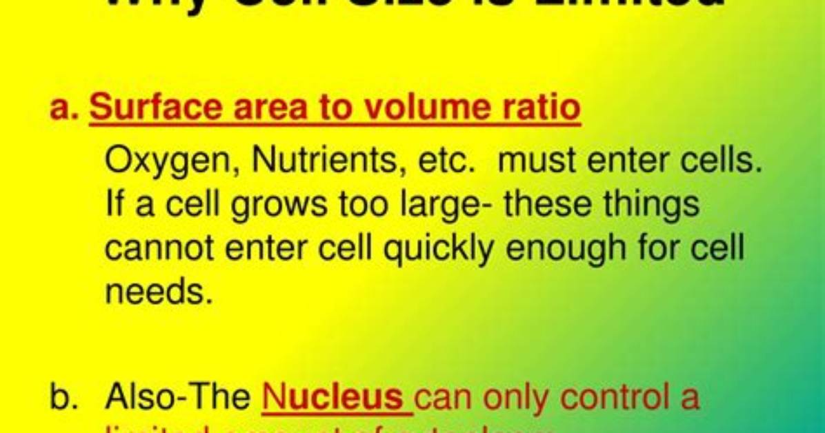 Why Are Cells Limited in Size