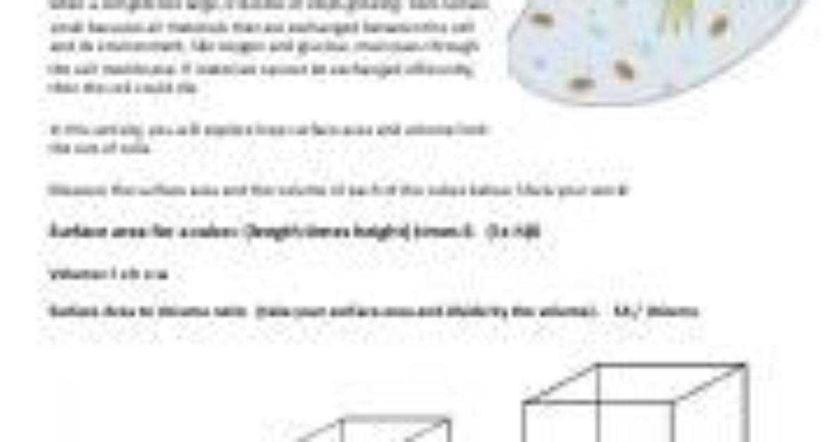 Why Are Cells So Small Worksheet Answer Key