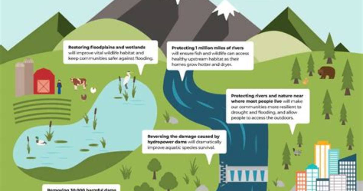 Why Are Clean Rivers Important?