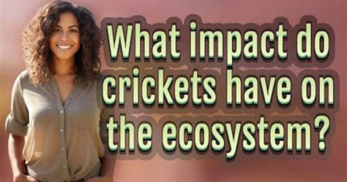 Why Are Crickets Important?