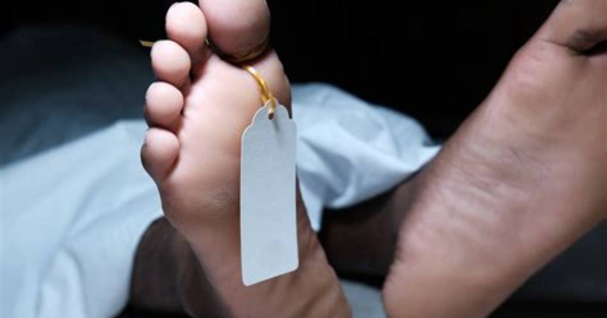 Why Are Dead Bodies Cold?