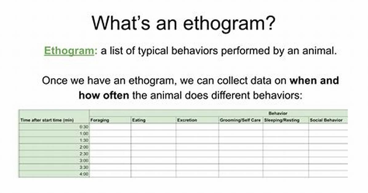 Why Are Ethograms Used