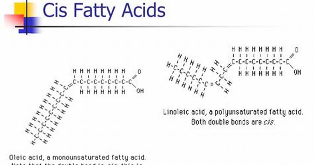 Why Are Fatty Acids Cis
