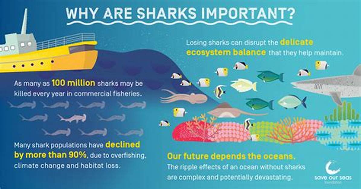 Why Are Fish Important to the Ecosystem