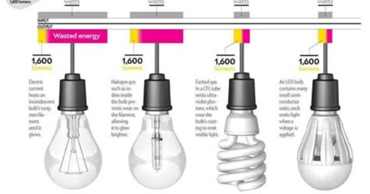 Why Are Fluorescent Lights More Energy Efficient