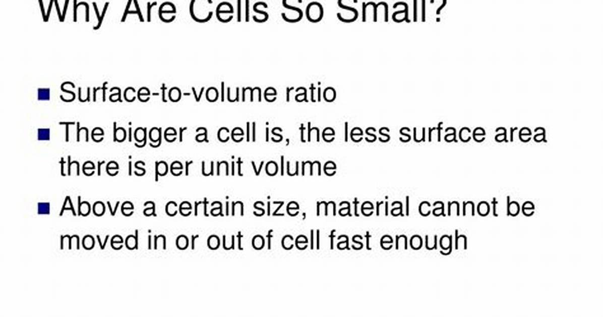 Why Are Most Cells Small