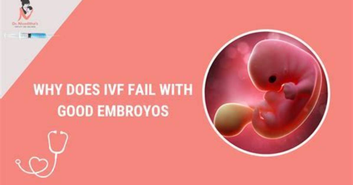 Why Are Multiple Embryos Implanted in Ivf?