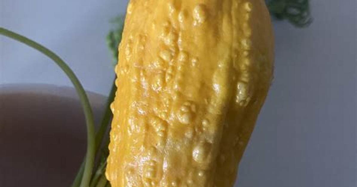 Why Are My Squash Bumpy