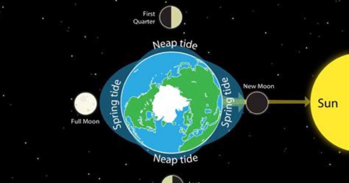 Why Are Neap Tides Weak