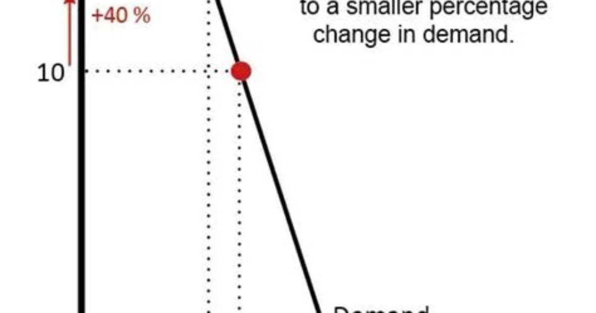 Why Are Necessities Inelastic?