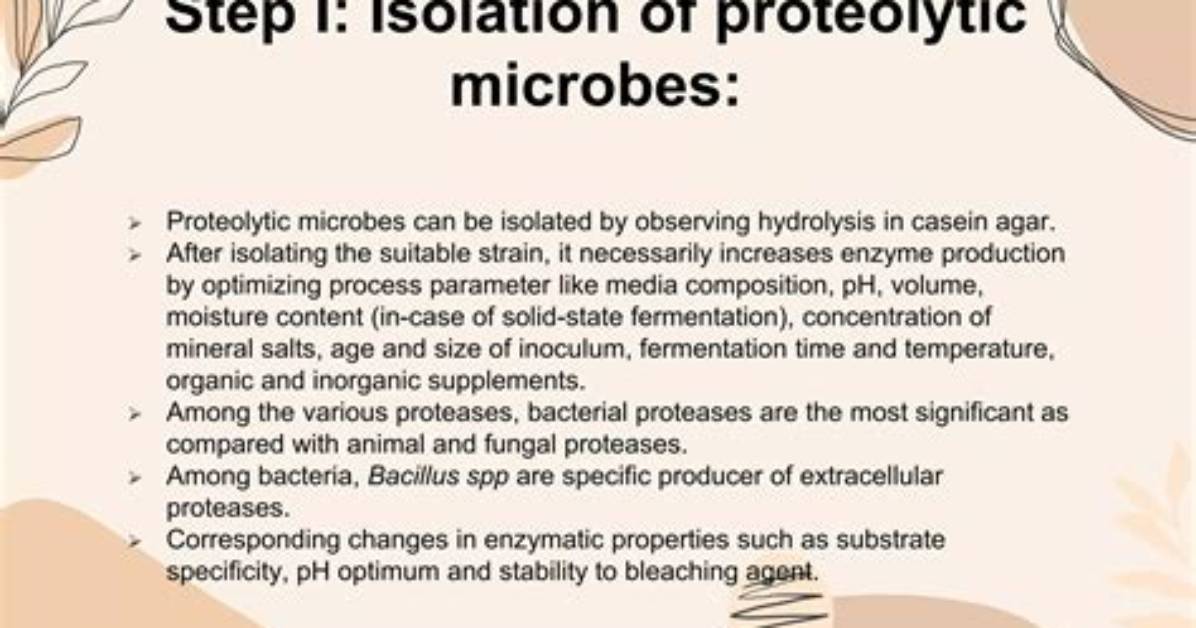 Why Are Proteases Added While Isolating the Dna?