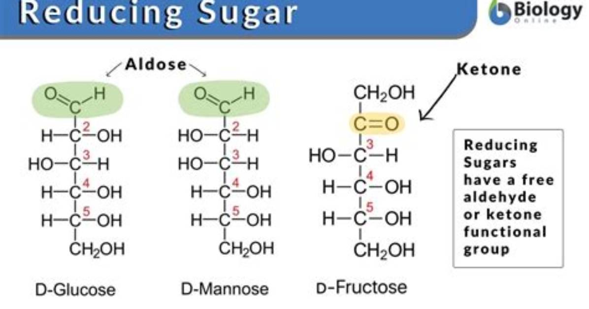 Why Are Reducing Sugars Important?