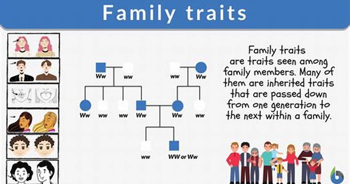 Why Are Some Traits Passed from Parent to Offspring