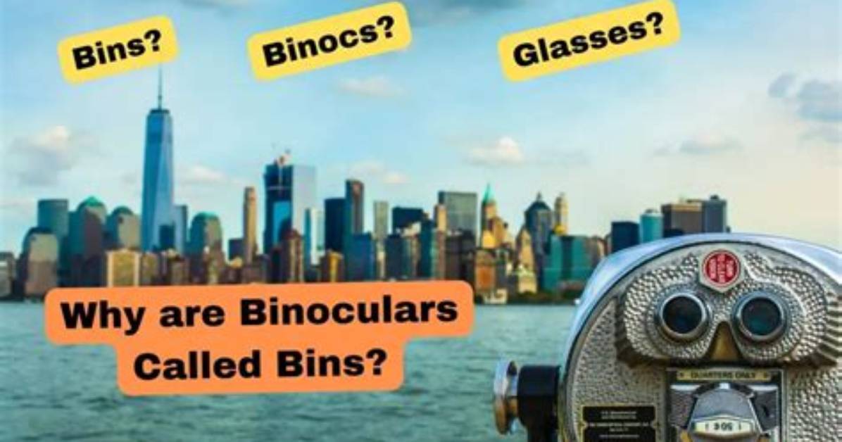 Why Are Spectacles Called Bins?