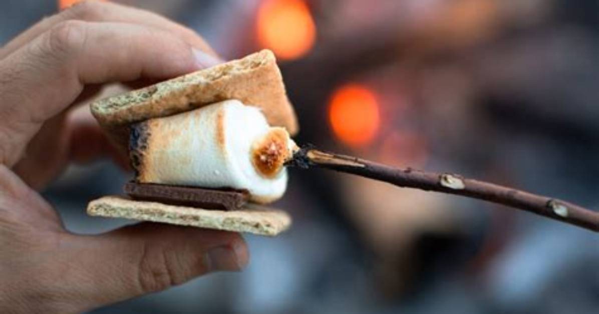 Why Are They Called Marshmallow?